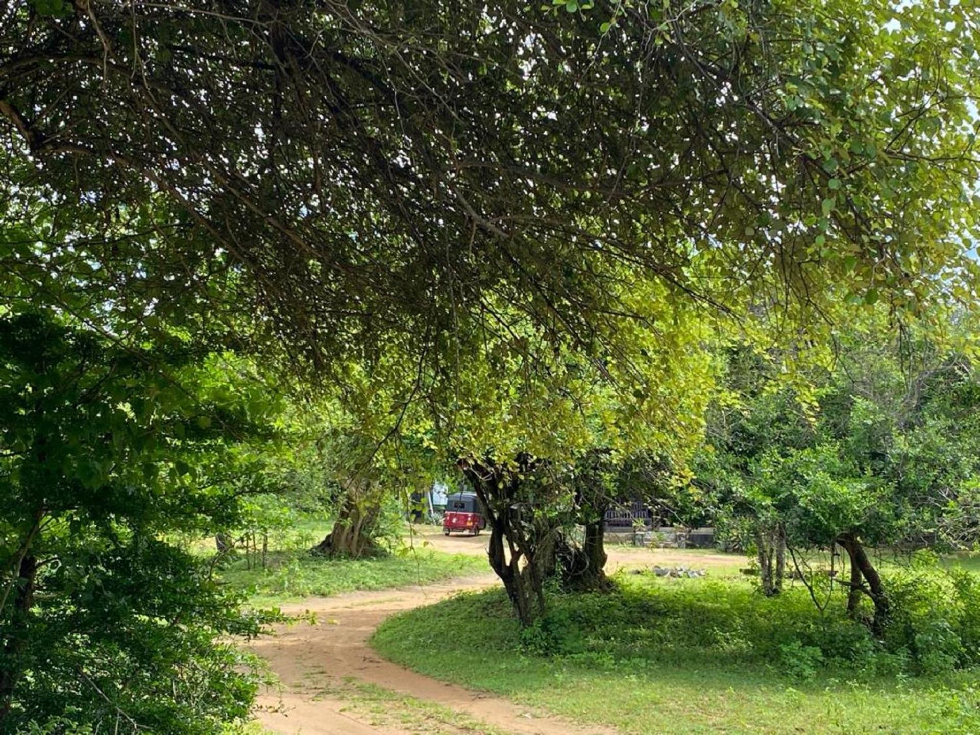 Yala Ying Yang Hostel & Camping Extérieur photo