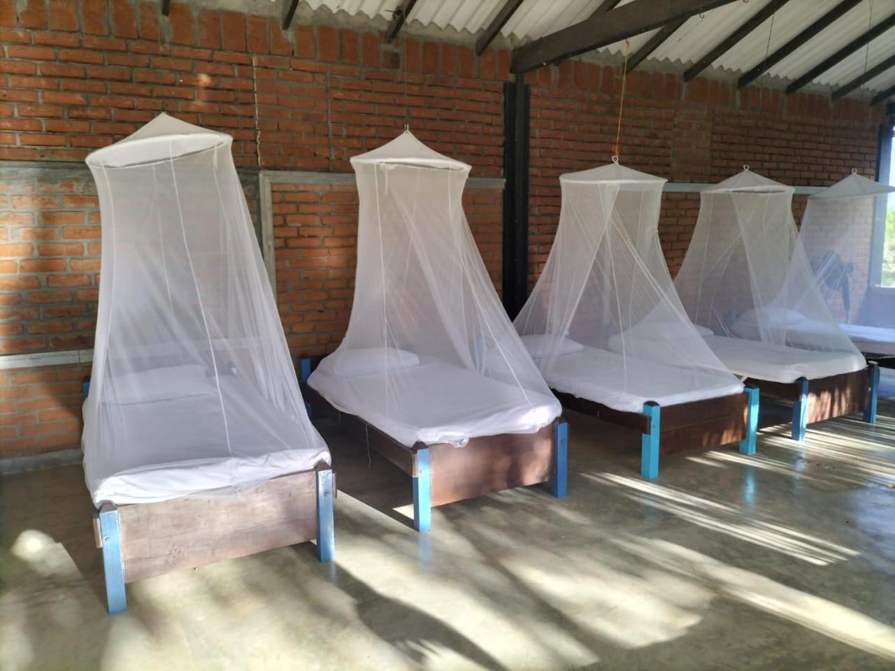 Yala Ying Yang Hostel & Camping Extérieur photo
