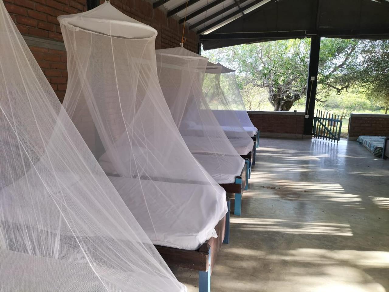 Yala Ying Yang Hostel & Camping Extérieur photo