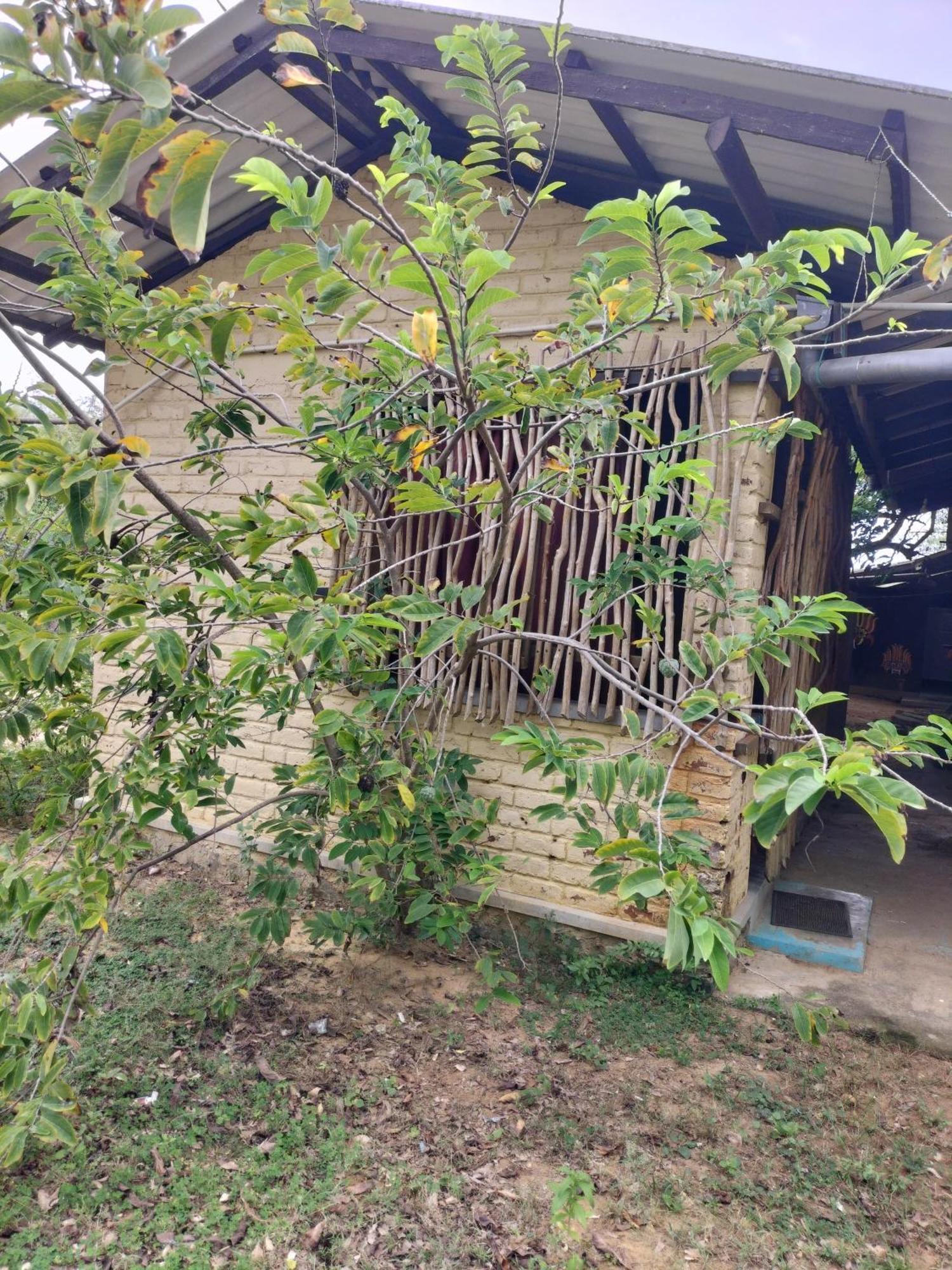 Yala Ying Yang Hostel & Camping Extérieur photo